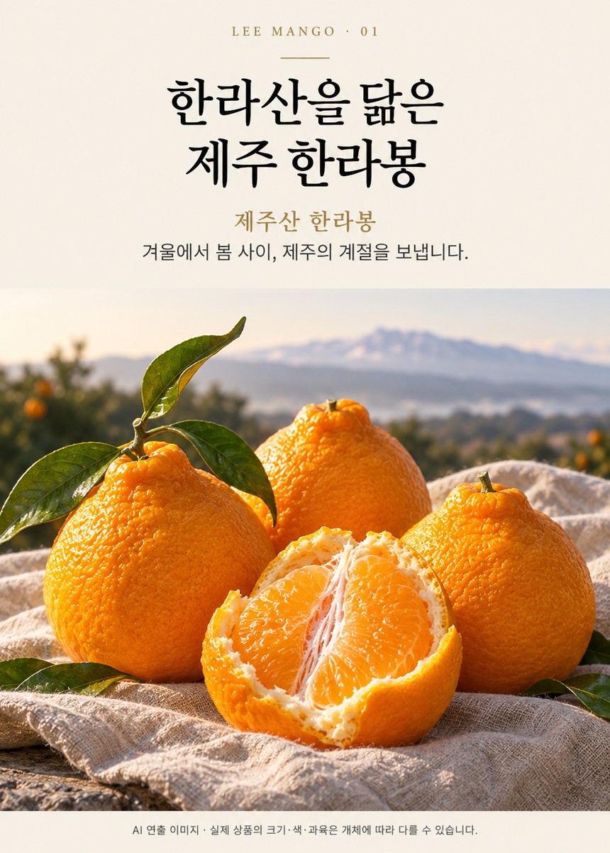 제주 한라봉