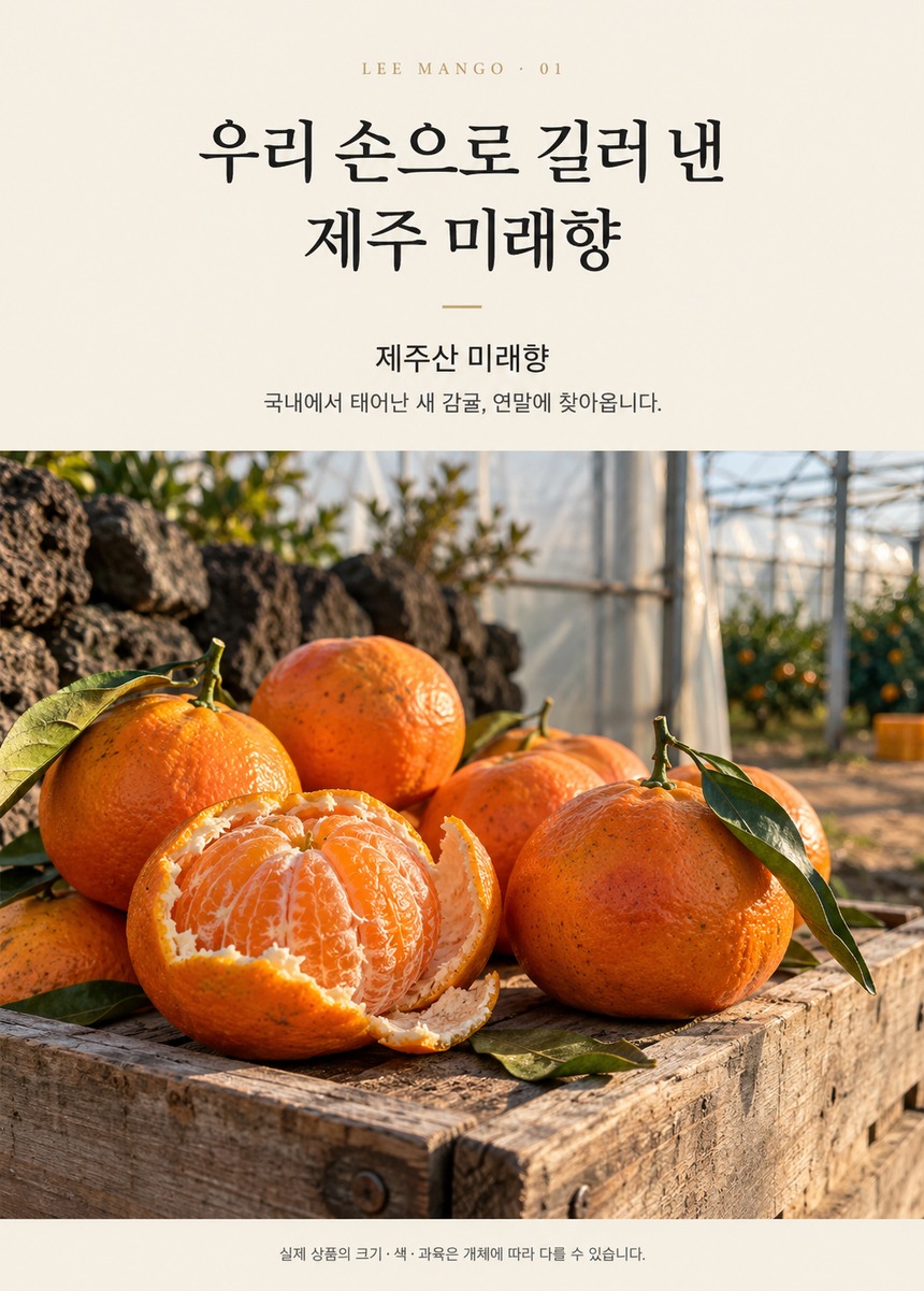 제주 미래향
