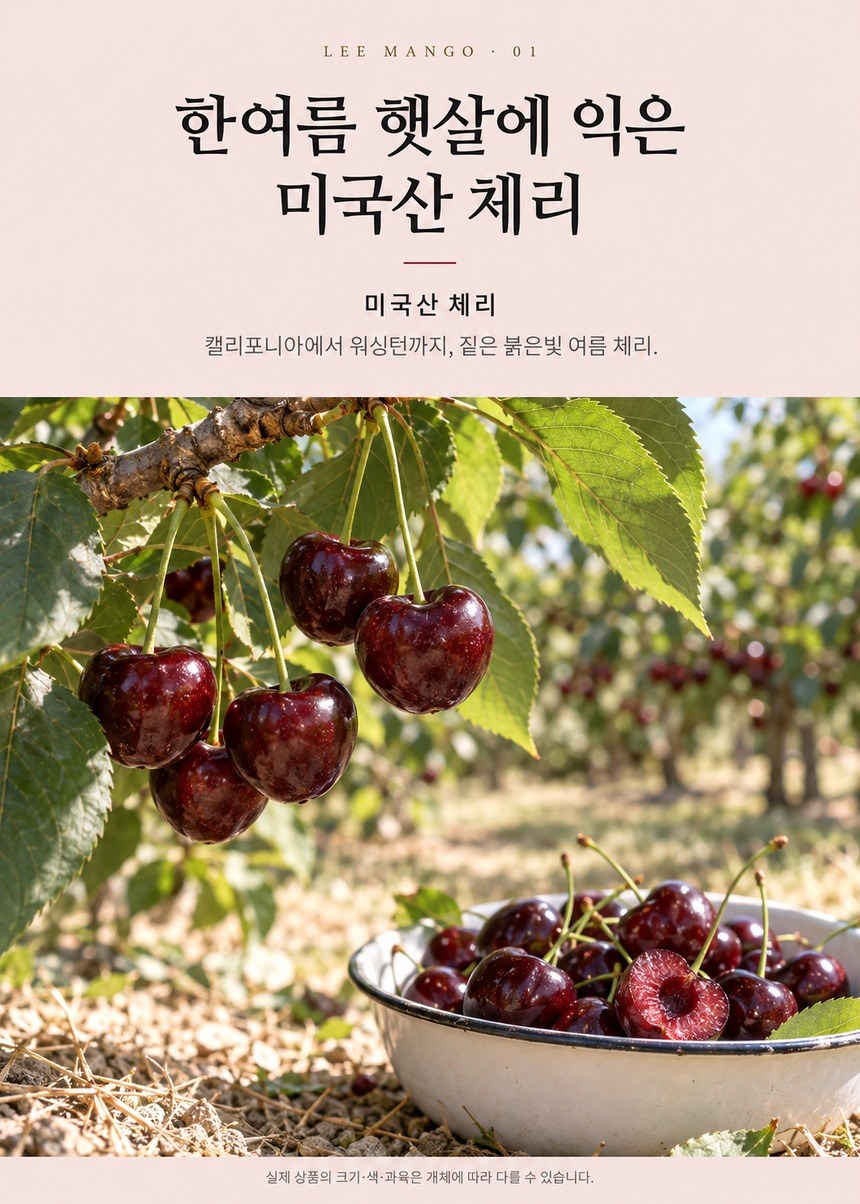 미국산 체리